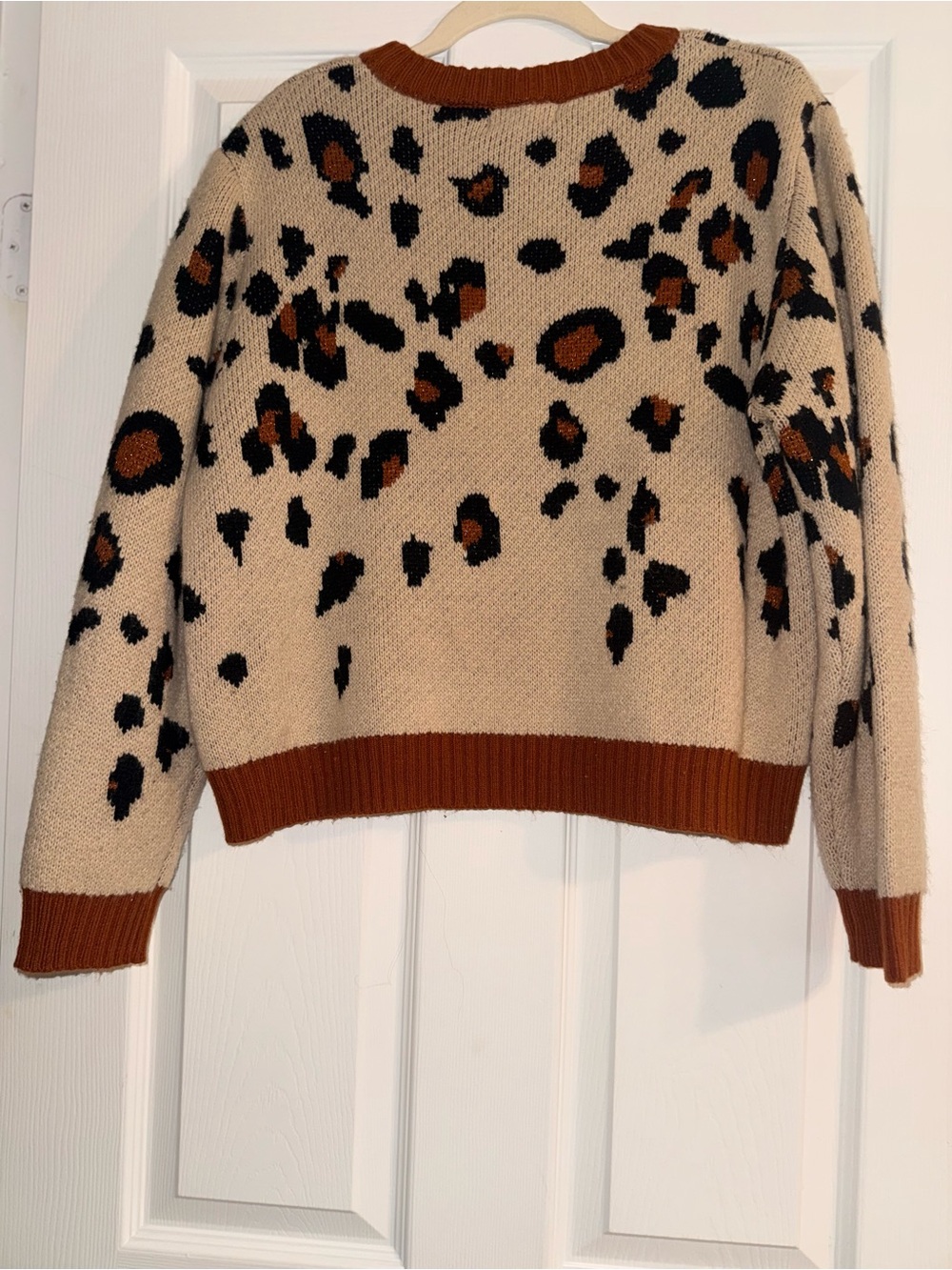 Leopard Print Crewneck Sweater in Beige with Rust Trim - Picture 3 of 4